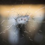 How-to-Survive-While-Living-Among-Terrorists