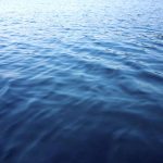 Survive in Open Water