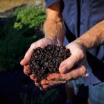 Which Ingredient Increases the Nitrogen Level in Your Compost?