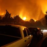 Where to Go from a Wildfire