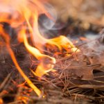 Backyard Burn Pile Safety Backyard-Burn-Pile-Safety