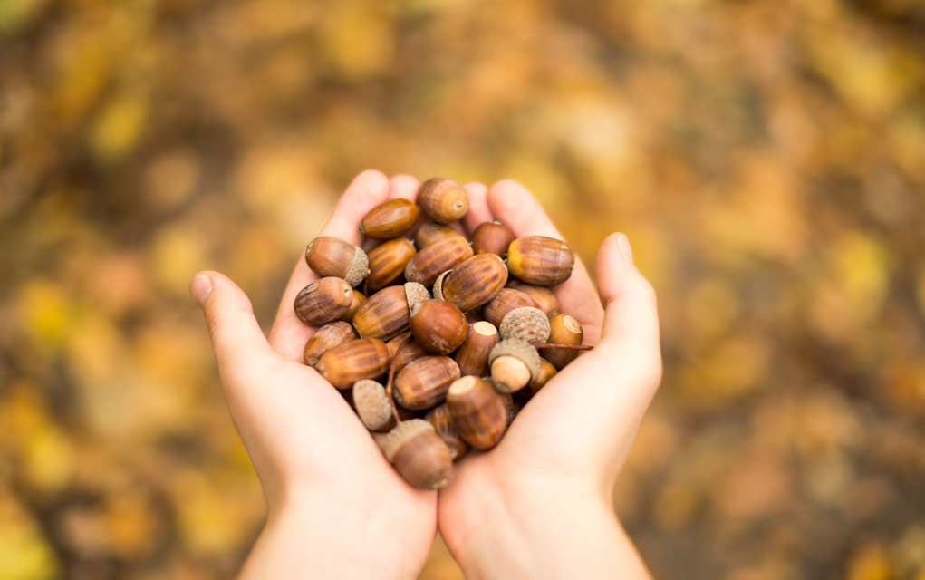 Treat-Intestinal-Issues-Naturally