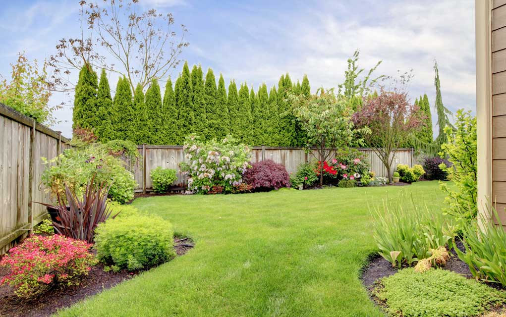 Understanding-Fencing-Laws