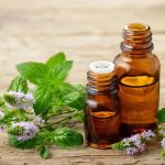 The Many Uses and Benefits of Peppermint The-Many-Uses-and-Benefits-of-Peppermint
