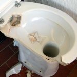 Disposing of Human Waste in a Catastrophe Disposing-of-Human-Waste-in-a-Catastrophe