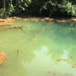 Purify Undrinkable Water in Minutes… Purify-Undrinkable-Water-in-Minutes