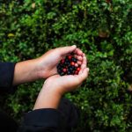 Testing Plants for Poison Testing-Plants-for-Poison