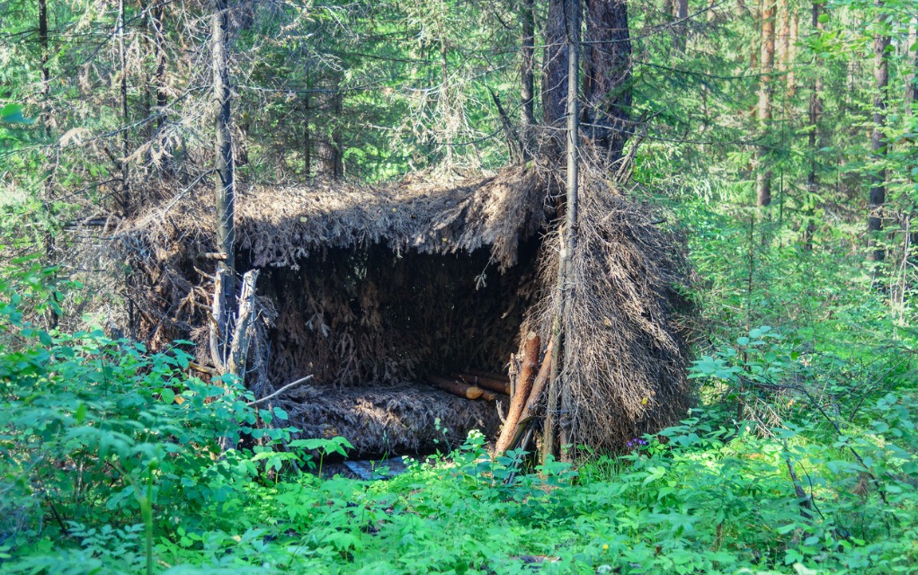 Here’s the Part of an Outdoor Survival Shelter You Should Build First