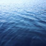 Survive in Open Water