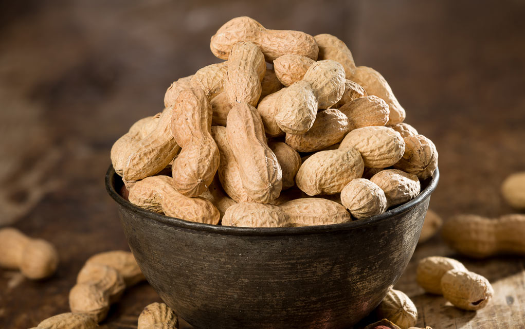 Are-Peanuts-a-Good-Survival-Food
