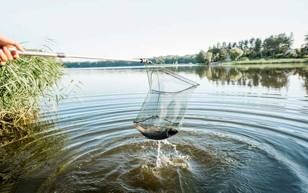 Catching-Fish-During-a-Flood