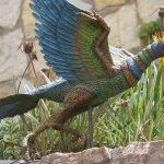 Extinct-Eyewitness-Sightings-of-Flying-Dinosaurs
