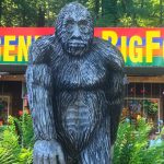 Is-it-Legal-to-Shoot-a-Sasquatch?