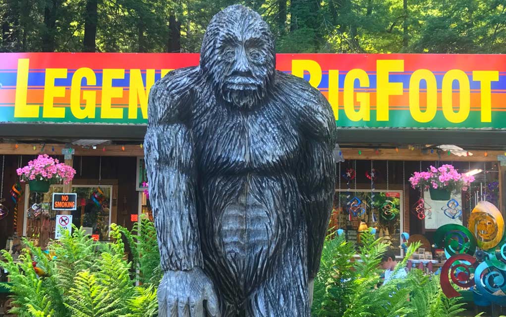Is-it-Legal-to-Shoot-a-Sasquatch?