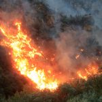 Residents-warned-to-leave-as-fires-threatens-Queensland-homes