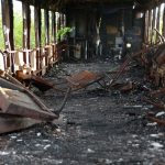 How Bad Could a SHTF Scenario Really Be?