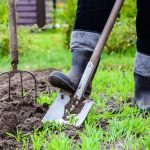 Wood Ash for Survival Gardening