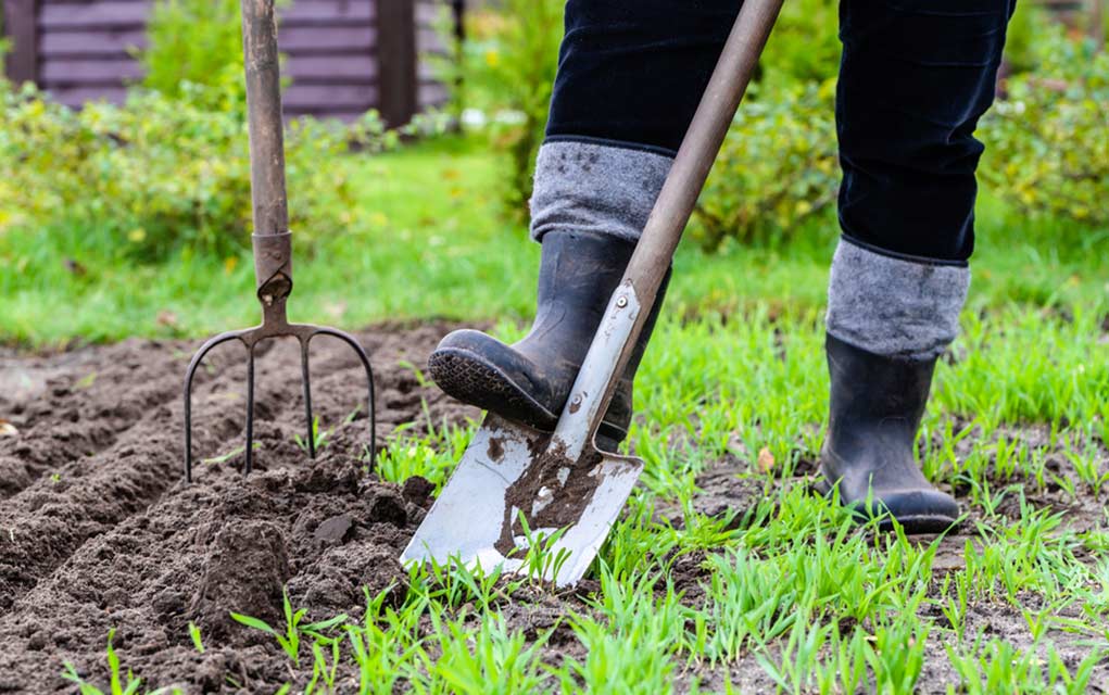 Wood Ash for Survival Gardening