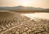 How-to-Survive-a-Drought