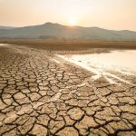 How-to-Survive-a-Drought