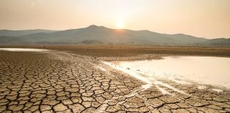 How-to-Survive-a-Drought