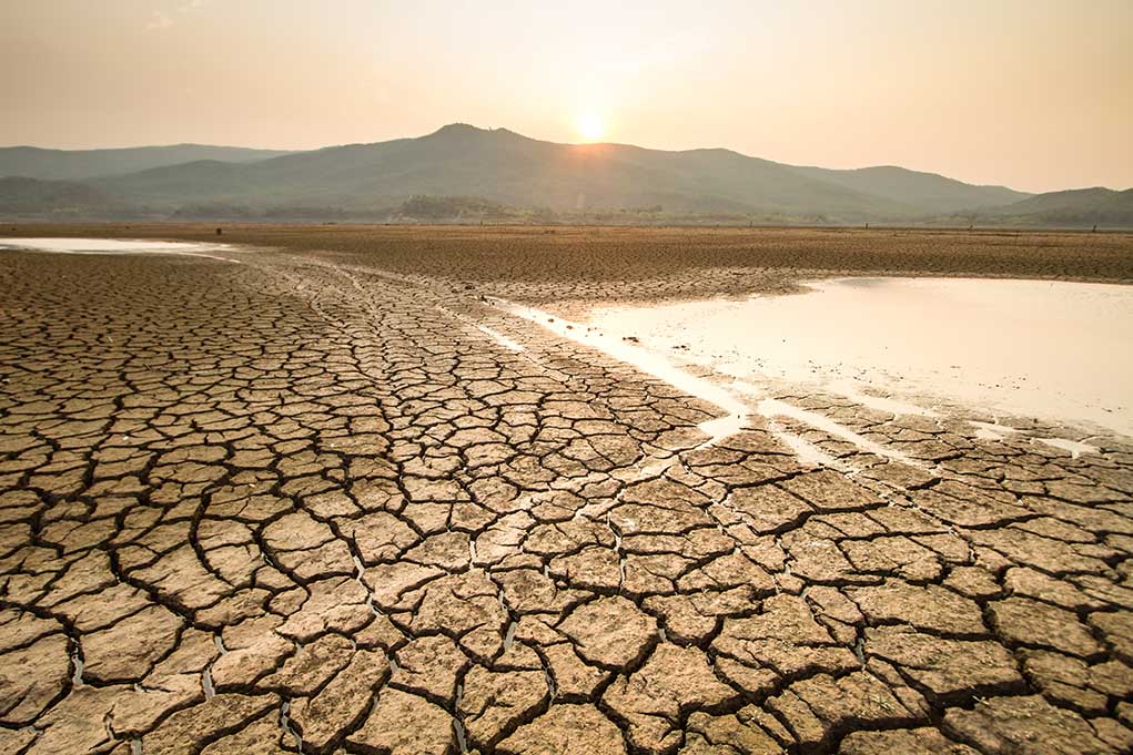 How-to-Survive-a-Drought