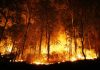 Protect-Your-Lungs-From-Wildfire-Smoke