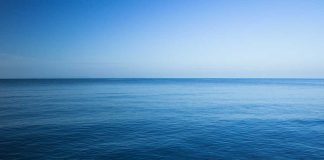 boaters-rescue-desperate-dog-over-a-mile-from-shore