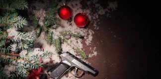 holiday-party-crashed-by-criminals