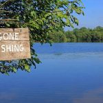 How to Make a Fish Trap Using a Plastic Bottle