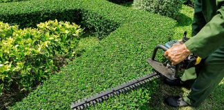opsec-cultivating-how-to-grow-a-hidden-garden