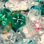 How to Make a Fish Trap Using a Plastic Bottle