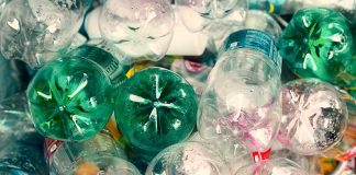 How to Make a Fish Trap Using a Plastic Bottle